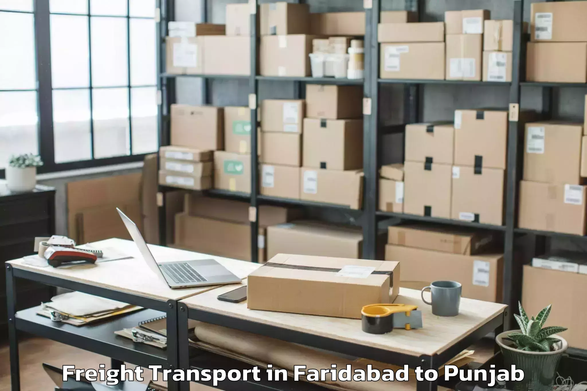 Professional Faridabad to Tapa Freight Transport